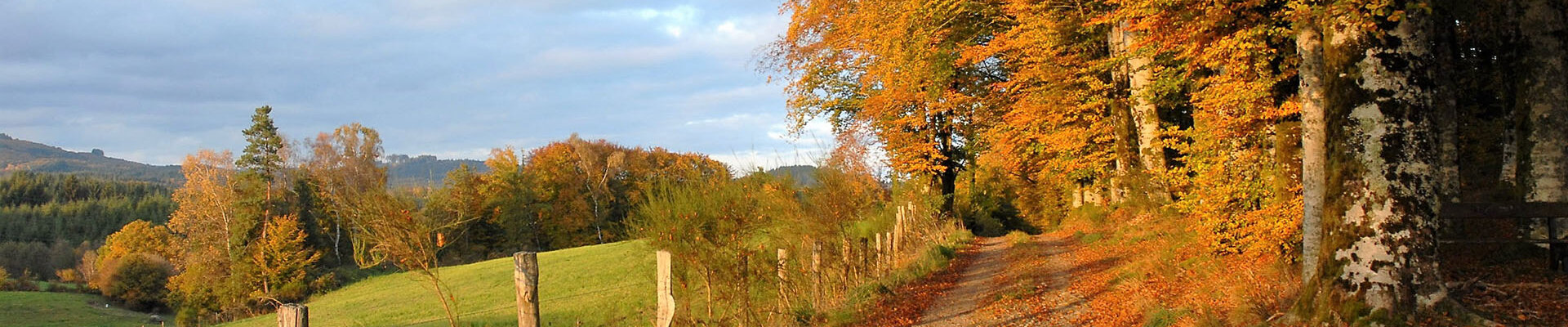 Histoire de Rosiers d'Égletons