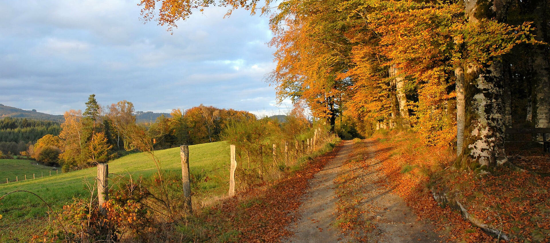 Bienvenue à sur la commune de Rosiers d'Egletons en Corréze dans le 19